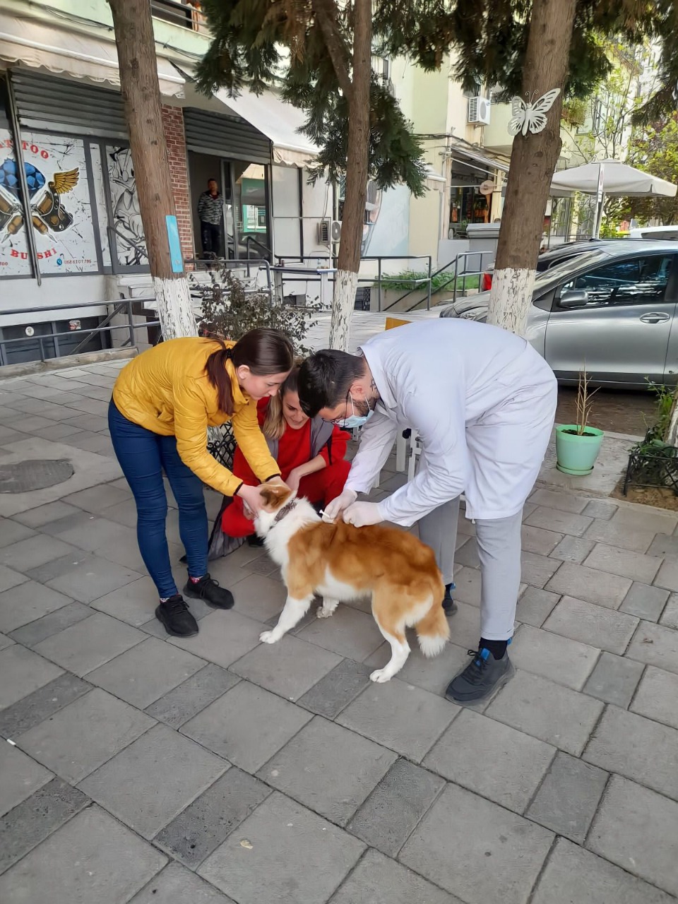 Vijon nisma e “Veterineri Lëvizës” këtë herë tek Njësia 7